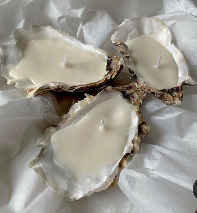 Oyster Candle